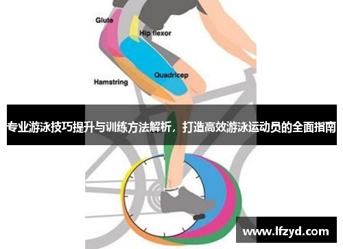 专业游泳技巧提升与训练方法解析，打造高效游泳运动员的全面指南